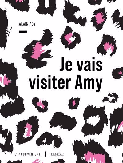 JE VAIS VISITER AMY