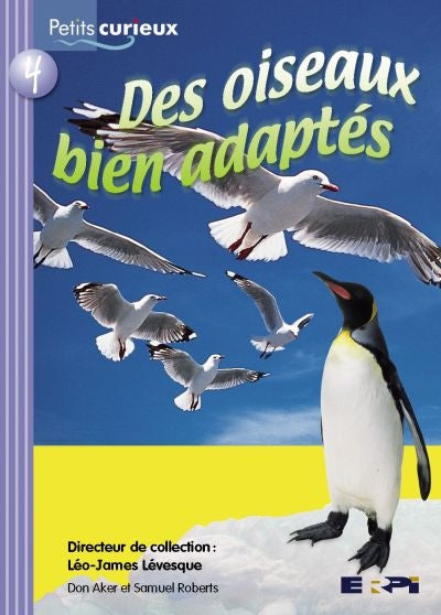 DES OISEAUX BIEN ADAPTES