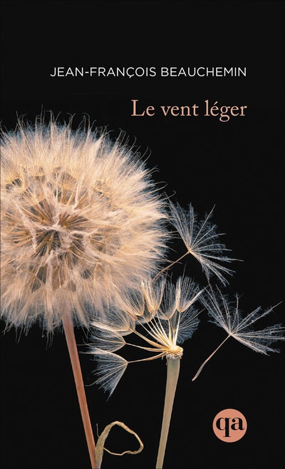 VENT LEGER                        QA