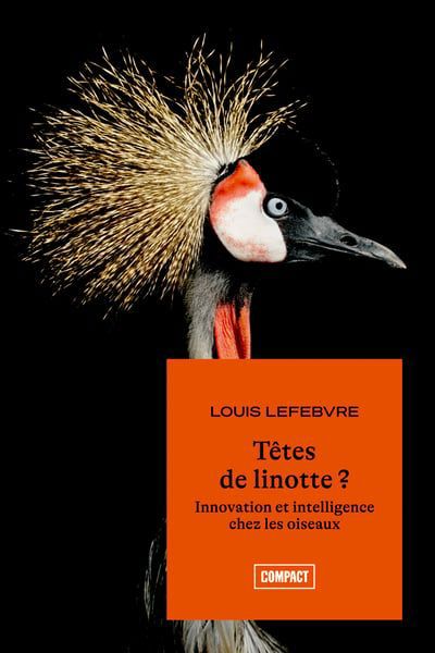 TETES DE LINOTTE?                 BC 381