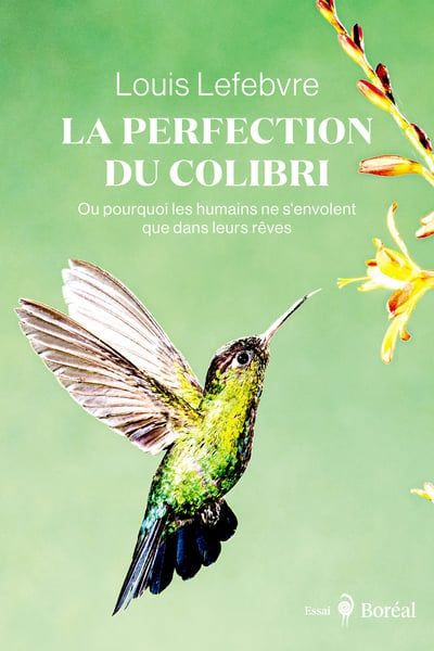 PERFECTION DU COLIBRI