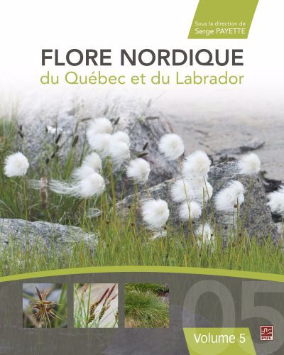 FLORE NORDIQUE DU QUEBEC ET DU LABRADOR 05