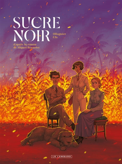 SUCRE NOIR