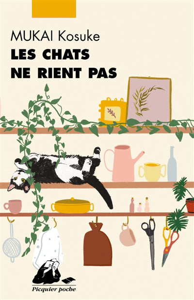 CHATS NE RIENT PAS            PIC