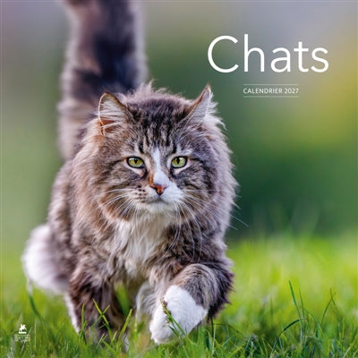 CALENDRIER 2027 CHATS