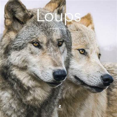 CALENDRIER LOUPS 2026