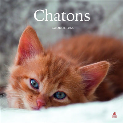 CALENDRIER CHATONS 2025