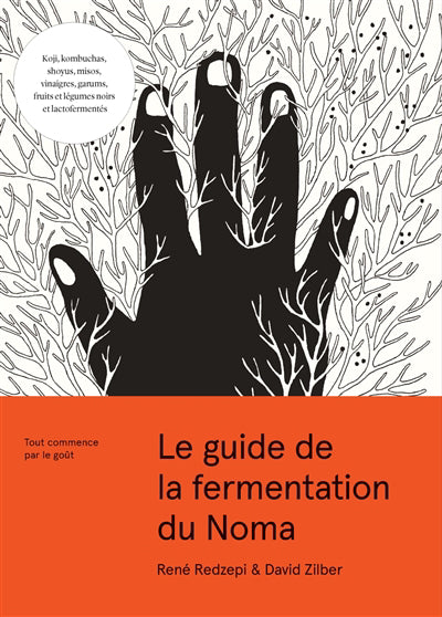 guide de fermentation du Noma