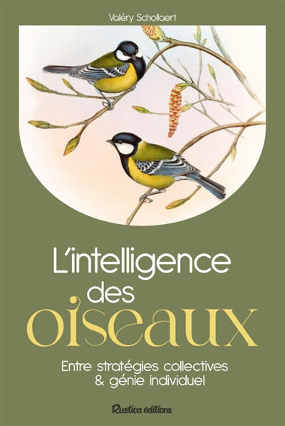 L'INTELLIGENCE DES OISEAUX