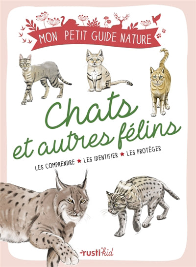 CHATS ET AUTRES FELINS