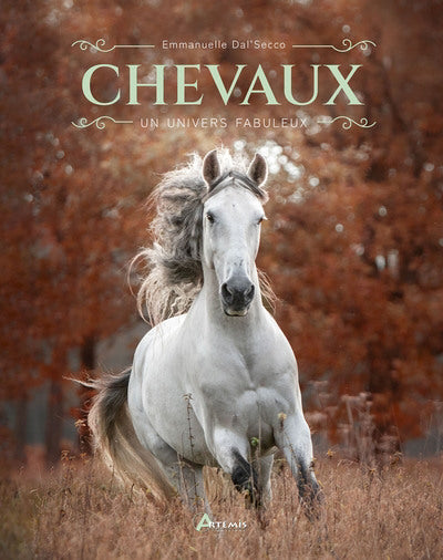 CHEVAUX : UN UNIVERS FABULEUX