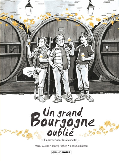GD BOURGOGNE OUBLIE T02