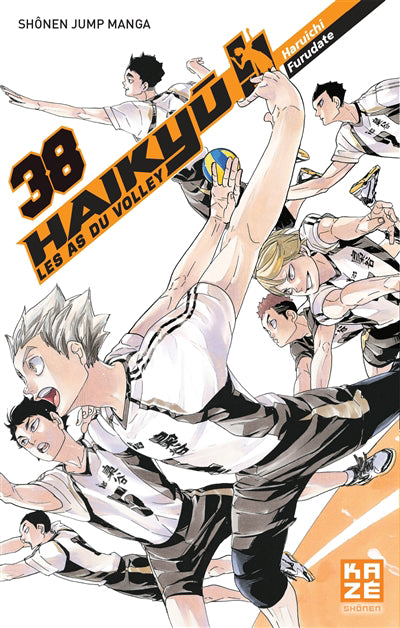 Haikyu !! les as du volley t38
