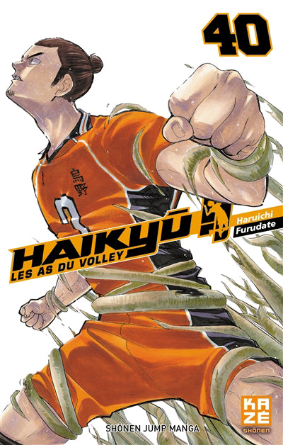 Haikyu !! les as du volley t40