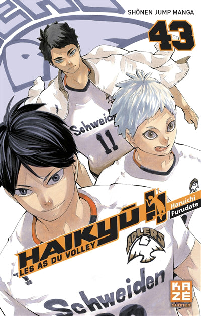 Haikyu !! les as du volley t43