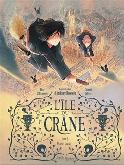 ILE DU CRANE T.02 MAUDIT GRAAL