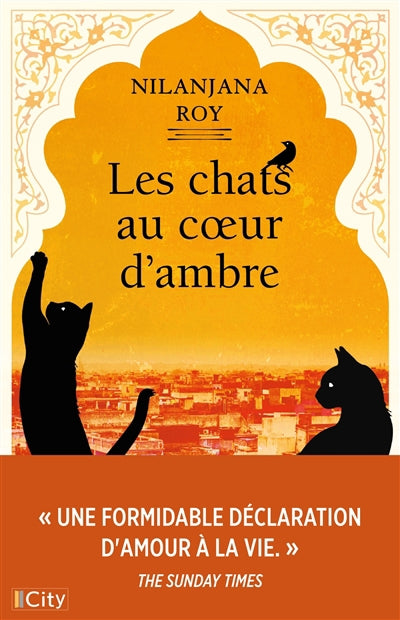 CHATS AU COEUR D'AMBRE