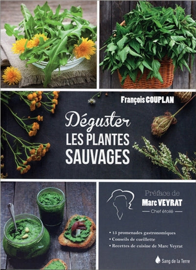 DEGUSTEZ LES PLANTES SAUVAGES