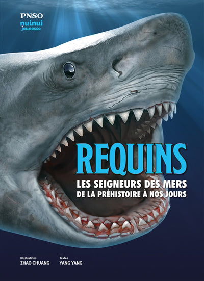 REQUINS LES SEIGNEURS DES MERS DE LA PRÉHISTOIRE À NOS JOURS