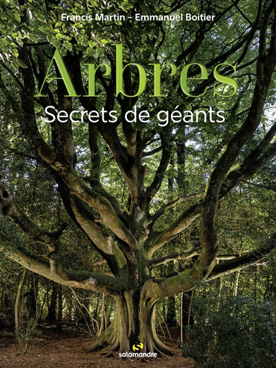 ARBRES  SECRETS DE GEANTS