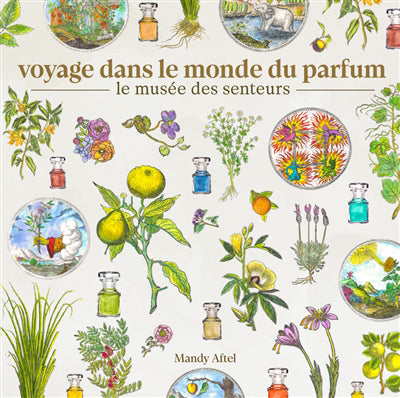 VOYAGE DANS LE MONDE DU PARFUM LE MUSEE DES SENTEURS