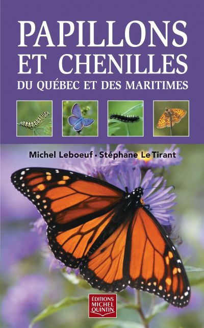 PAPILLONS CHENILLES QC ET MARITIMES (R)