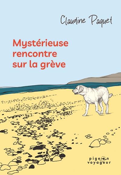 MYSTERIEUSE RENCONTRE SUR LA GREVE