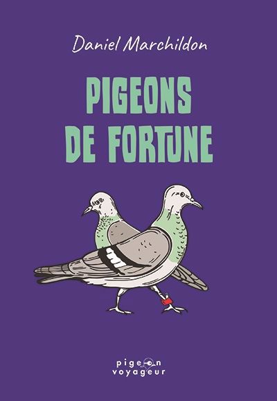 PIGEONS DE FORTUNE