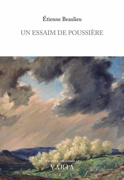 UN ESSAIM DE POUSSIERE