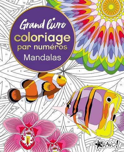 MANDALAS -GRAND LIVRE COLORIAGE NUMEROS