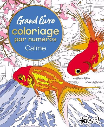 GRAND LIVRE COLORIAGE PAR NUMEROS - CALME