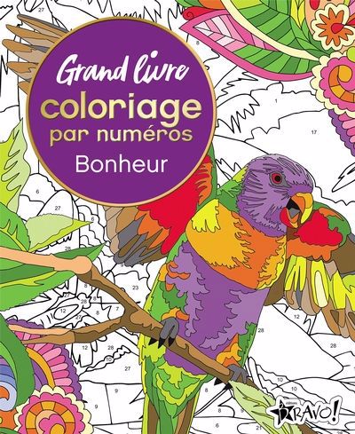 BONHEUR -GRAND LIVRE COLORIAGE NUMEROS