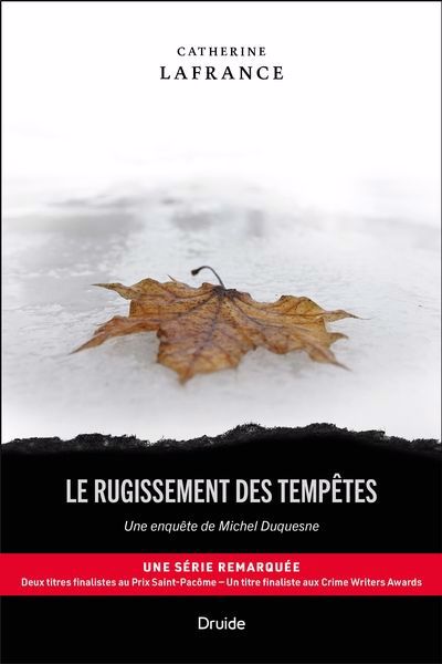 RUGISSEMENT DES TEMPETES   UNE ENQUETE DE MICHEL DUQUESNE