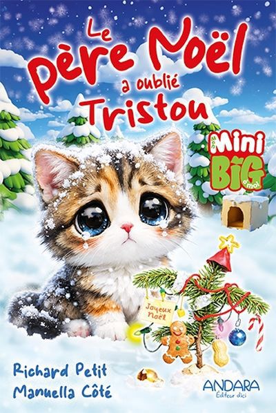 PERE NOEL A OUBLIE TRISTOU