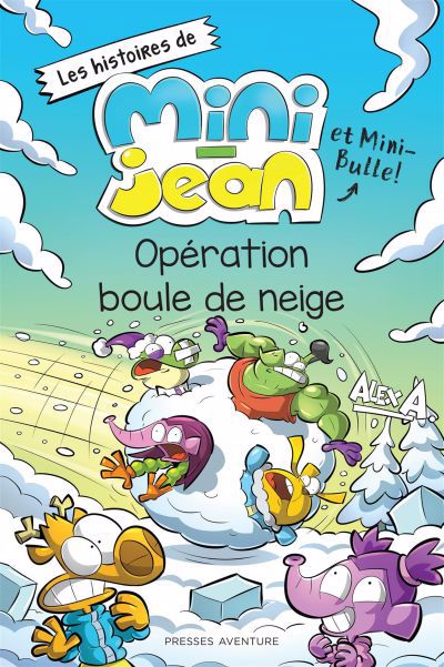 OPERATION BOULE DE NEIGE