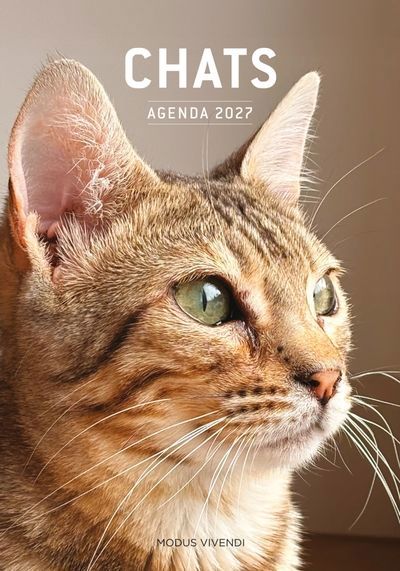 CHATS - AGENDA 2027