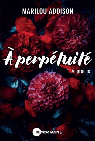 A PERPETUITE 01  APPROCHE