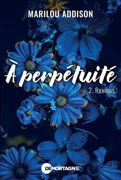 A PERPETUITE 02  REVIENS
