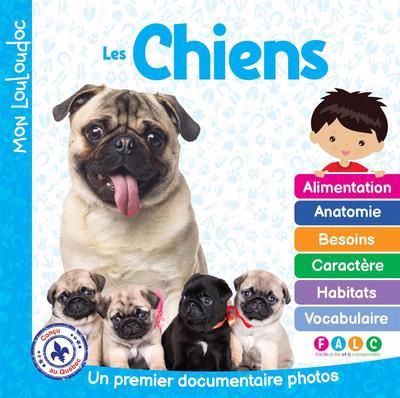 CHIENS