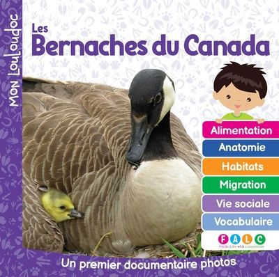 BERNACHES DU CANADA