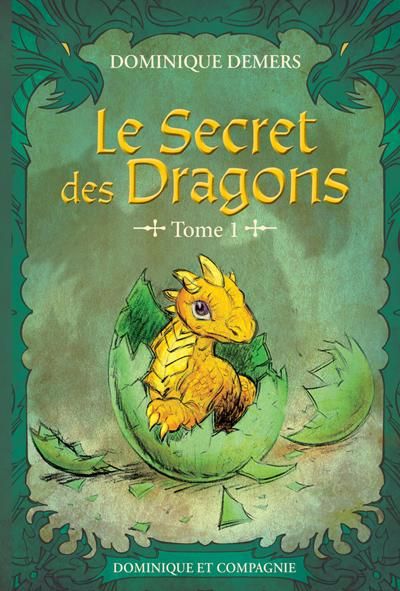 SECRET DES DRAGONS : T01 N.E. EN COULEURS