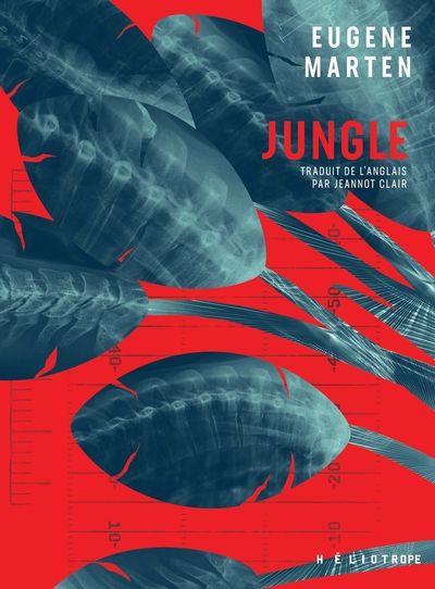 JUNGLE