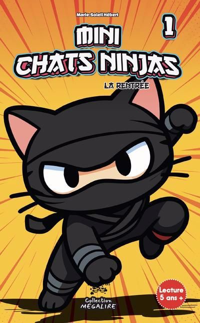 MINIS CHATS-NINJAS T01
