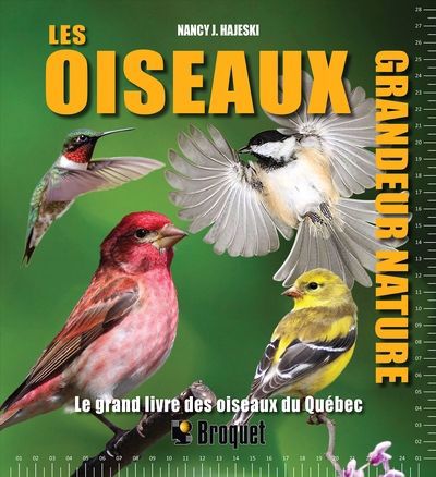 LES OISEAUX GRANDEUR NATURE : LE GRAND LIVRE DES OISEAUX DU QUÉBEC