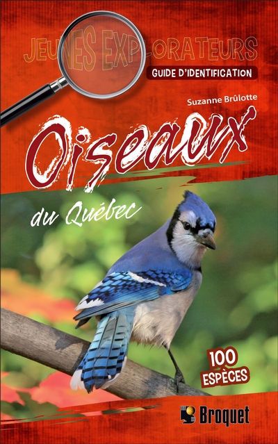 OISEAUX DU QUEBEC  GUIDE D'IDENTIFICATION N.E.