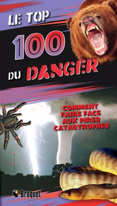 TOP 100 DU DANGER  N.E.