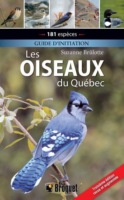 OISEAUX DU QUEBEC LES  GUIDE D'INITIATION  3E EDITION
