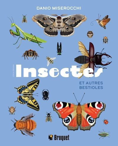 INSECTES ET AUTRES BESTIOLES