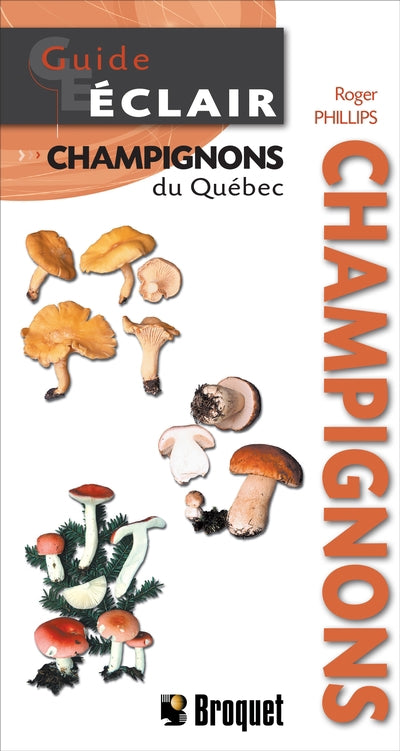 Champignons guide éclair