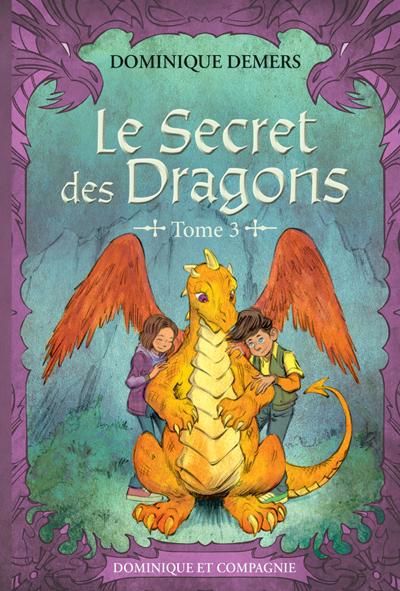 SECRET DES DRAGONS : T03 N.E. EN COULEURS